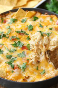 Chicken Enchilada Dip Recipe