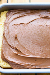Chocolate Frosting Recipe