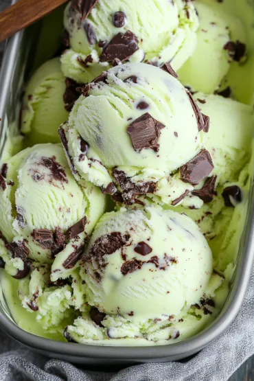 Mint Chocolate Chip Ice Cream