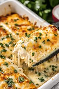 Chicken Enchiladas Recipe