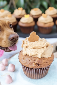Dog Cupcakes Recipe