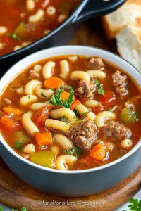 beef and macaroni soup
