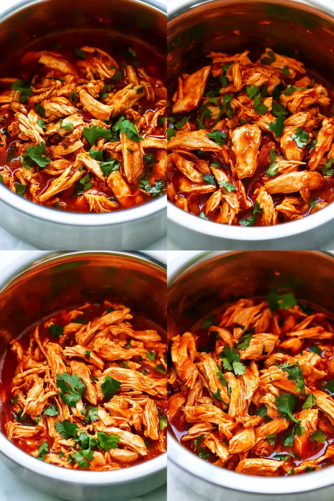 Mexican shredded chicken